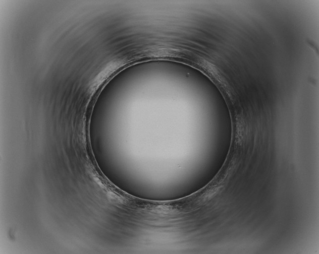 X0000103480986200809191855
