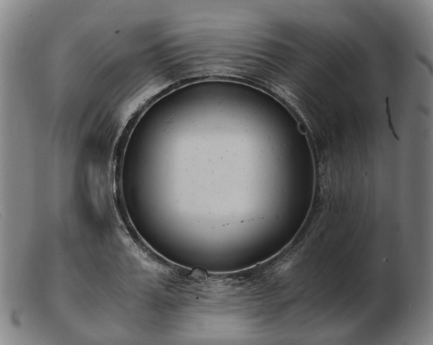 X0000103480987200809191855