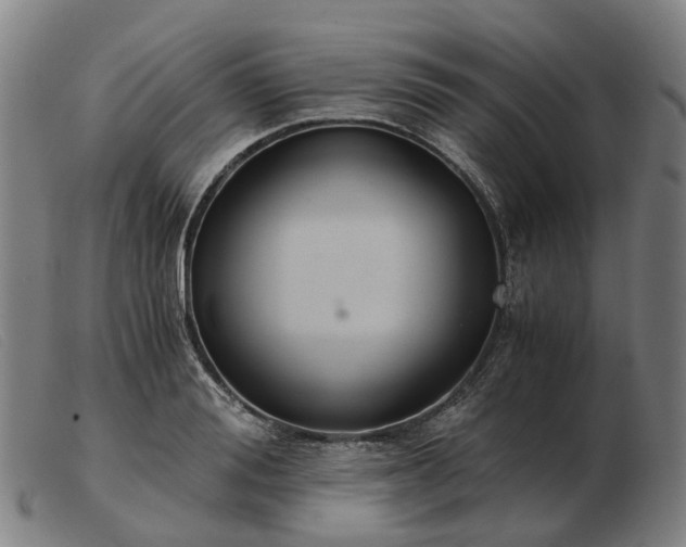 X0000103480988200809191855