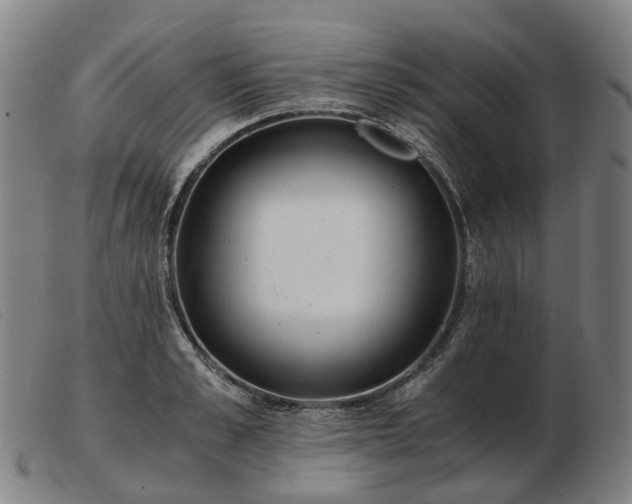 X0000103480989200809191855