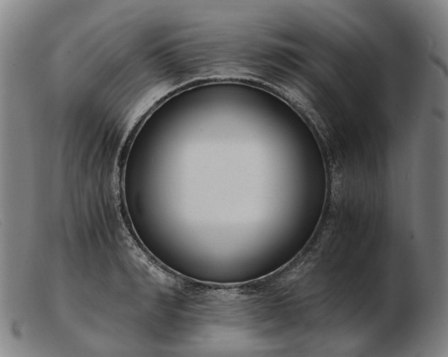 X0000103480990200809191855