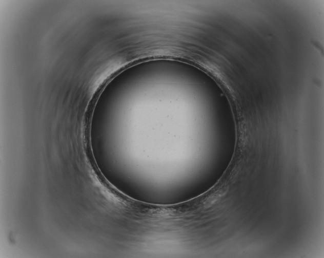X0000103480991200809191855