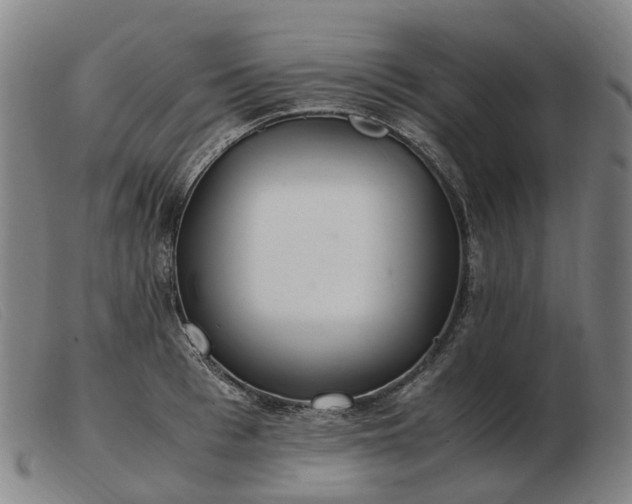 X0000103480993200809191855