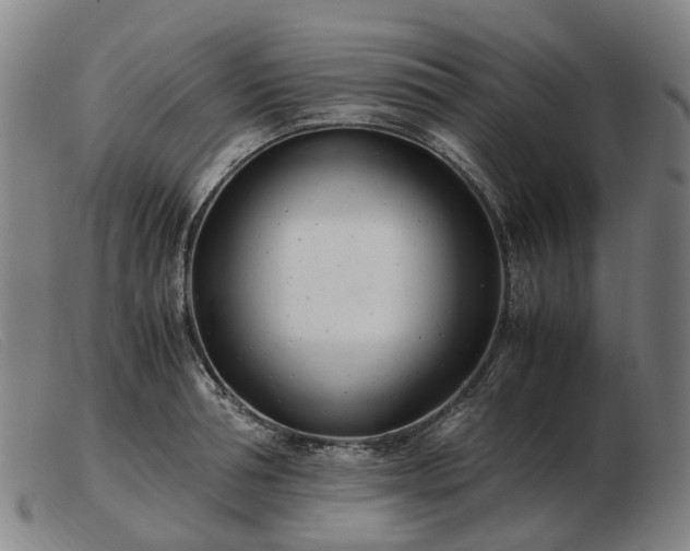 X0000103480994200809191855
