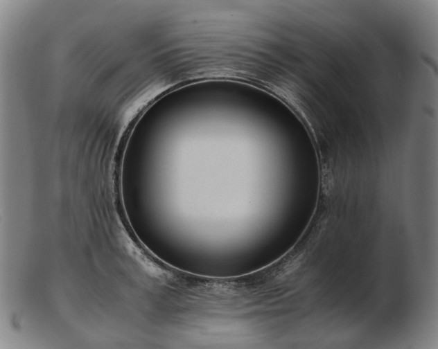 X0000103480995200809191855
