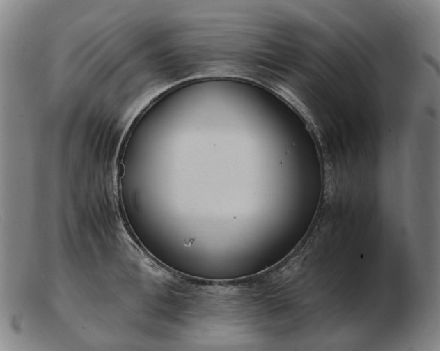 X0000103480996200809191855