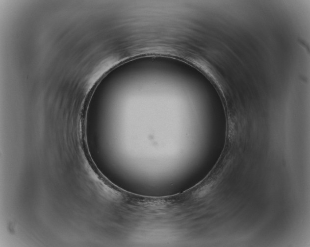 X0000103480999200809191855