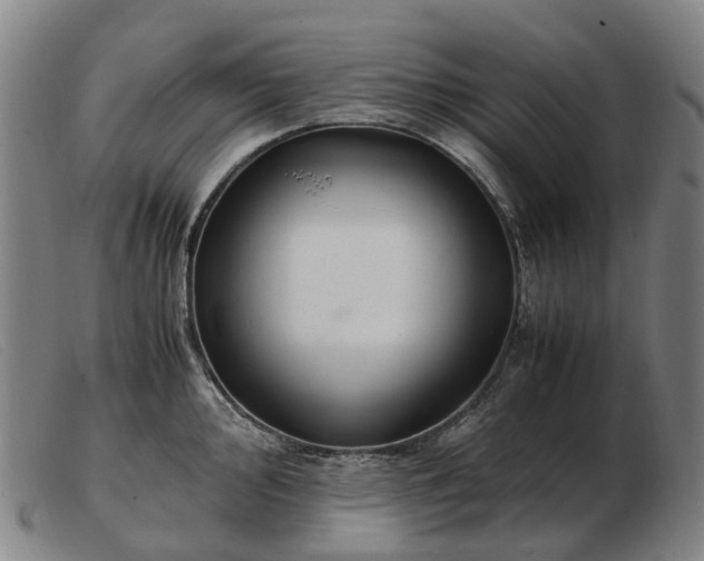 X0000103481000200809191855