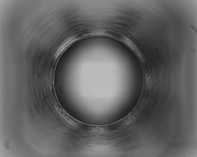 X0000103481002200809191855