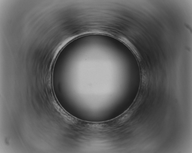 X0000103481004200809191855