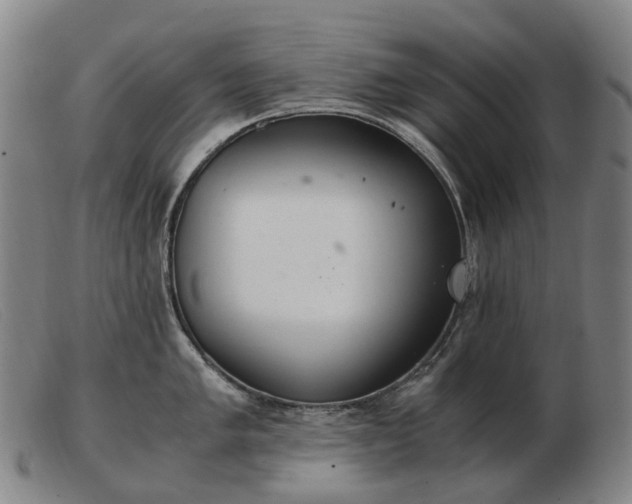 X0000103481005200809191855
