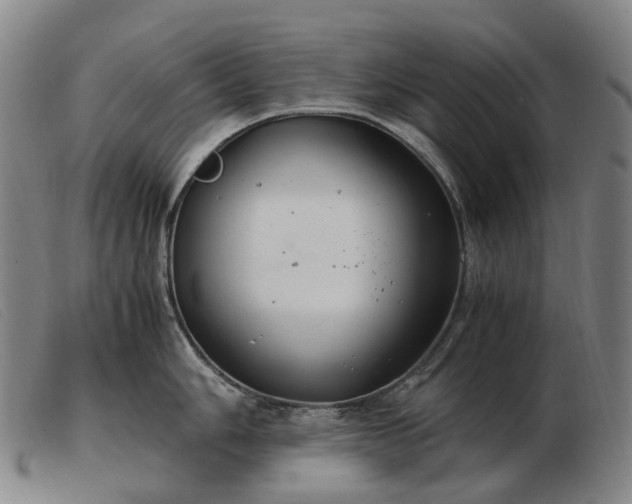 X0000103481006200809191855