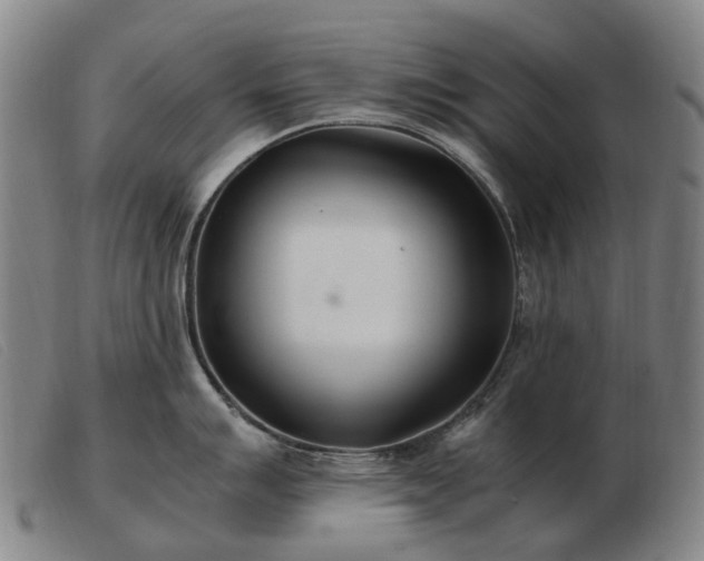 X0000103481007200809191855