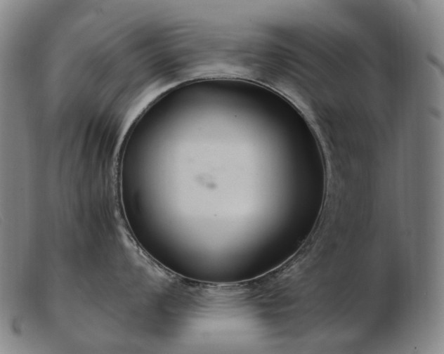 X0000103481008200809191855
