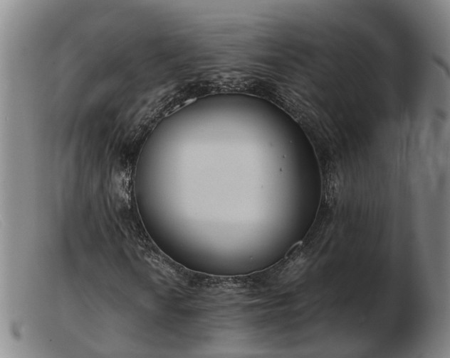 X0000103481010200809191854