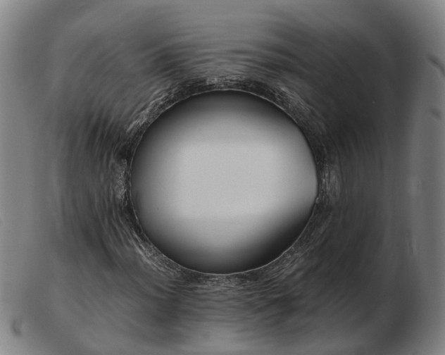 X0000103481012200809191854