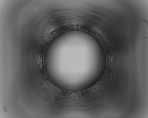 X0000103481013200809191854