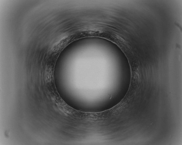 X0000103481014200809191854