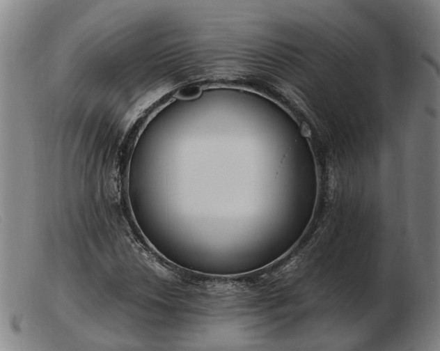 X0000103481018200809191854