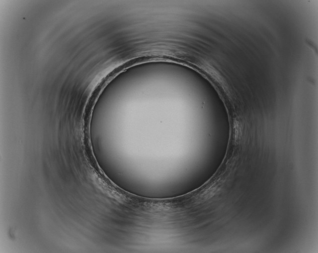 X0000103481020200809191854
