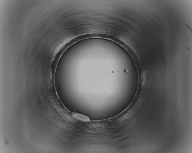 X0000103481021200809191854