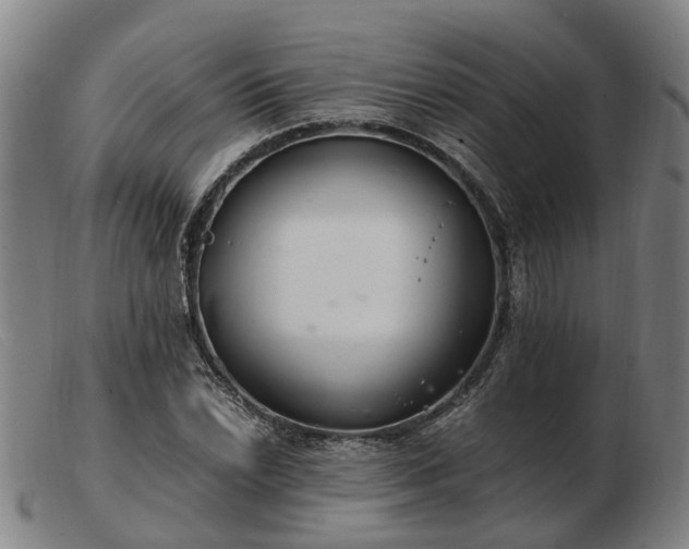 X0000103481022200809191854