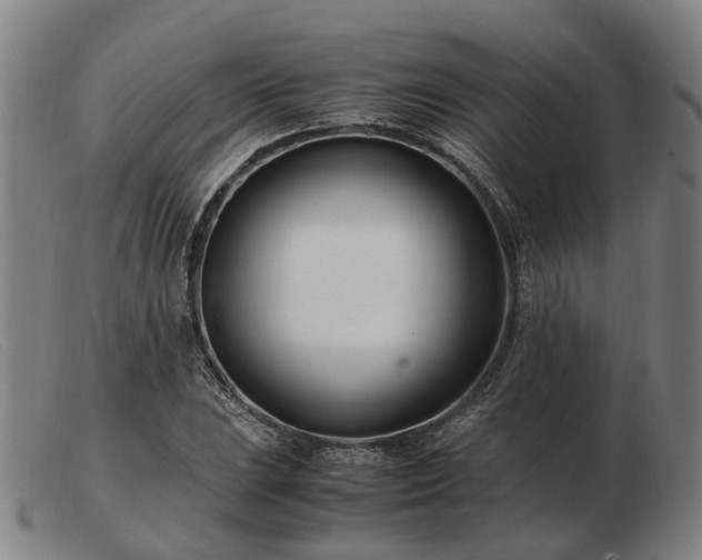 X0000103481023200809191854