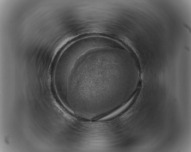 X0000103481024200809191854