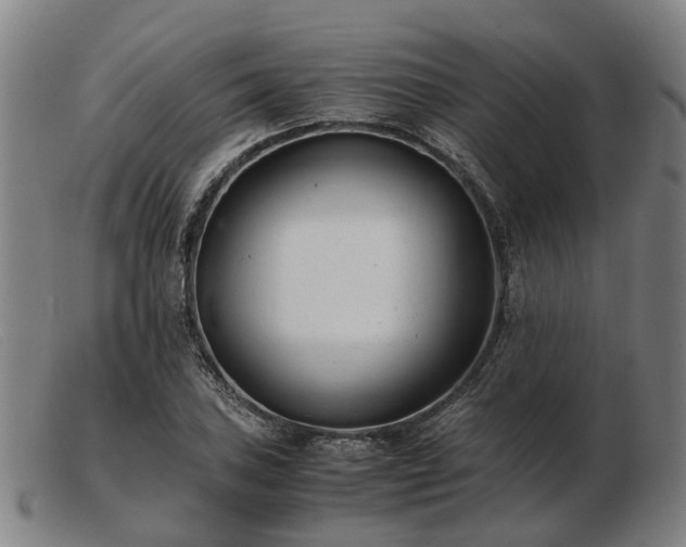 X0000103481027200809191854