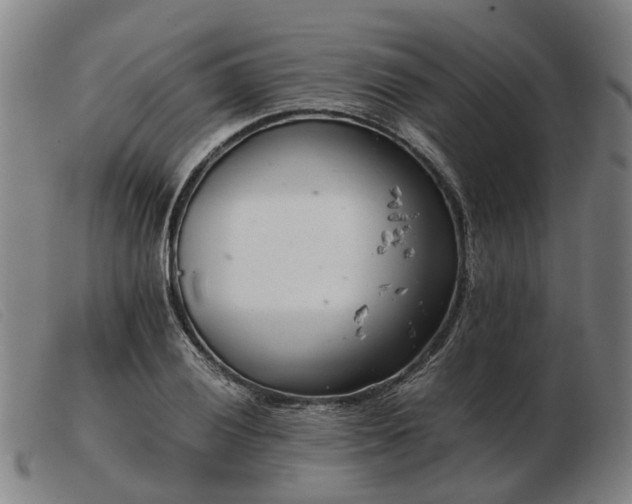 X0000103481028200809191854