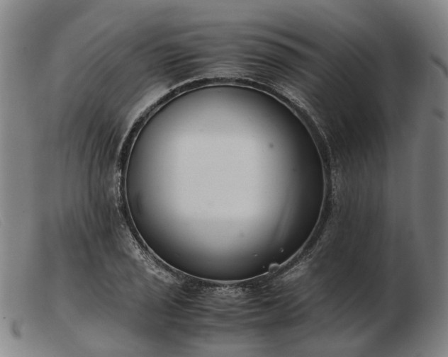 X0000103481029200809191854