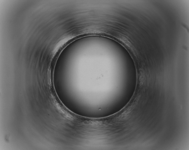 X0000103481030200809191854