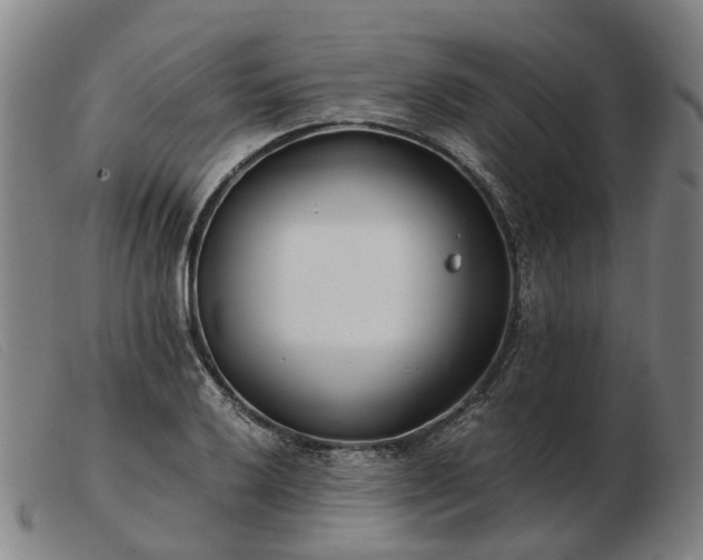 X0000103481032200809191854