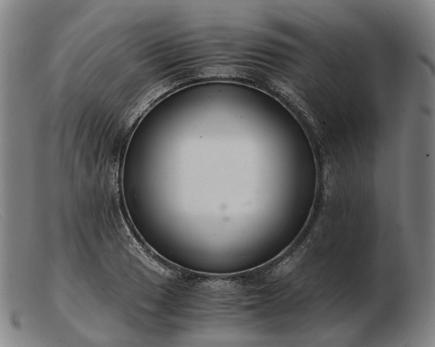 X0000103481033200809191854