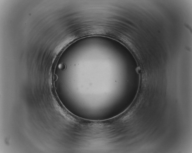 X0000103481034200809191854