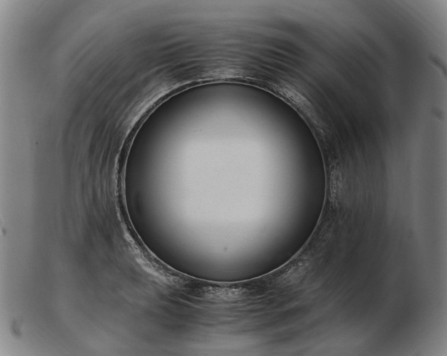 X0000103481039200809191854