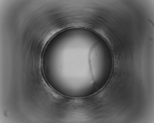 X0000103481040200809191854