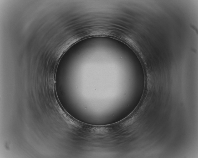 X0000103481041200809191854