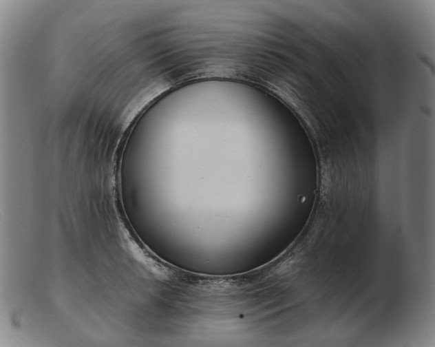 X0000103481042200809191854