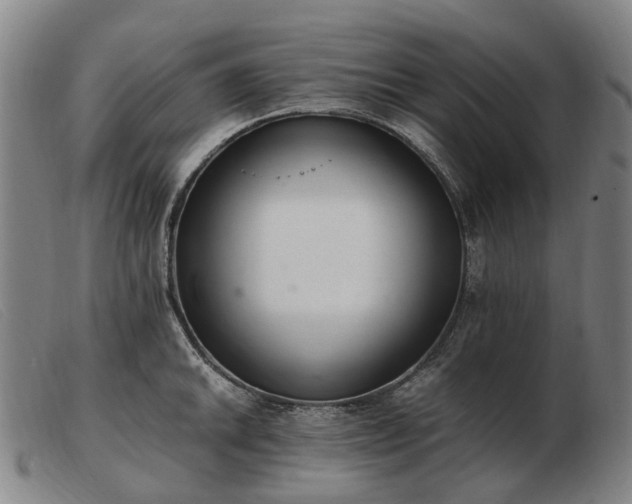 X0000103481046200809191854