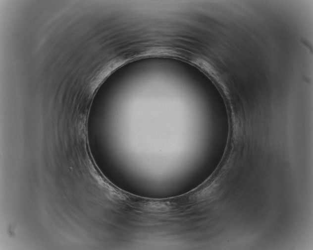 X0000103481049200809191854