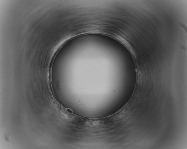 X0000103481051200809191854
