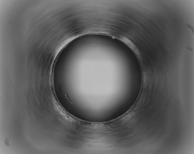 X0000103481052200809191854