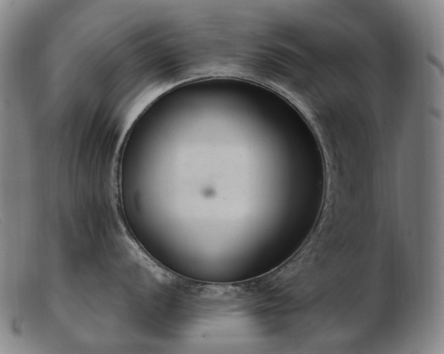 X0000103481056200809191855