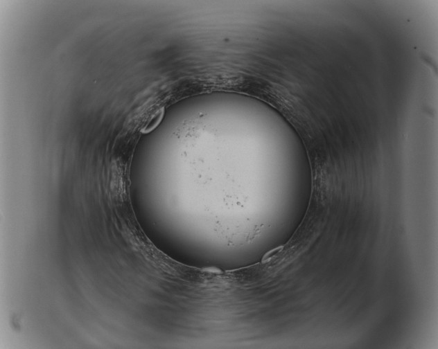 X0000103481058200809191854