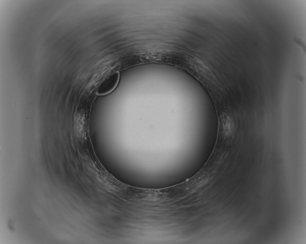 X0000103481060200809191854