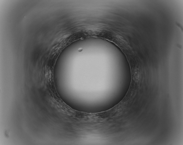 X0000103481061200809191854