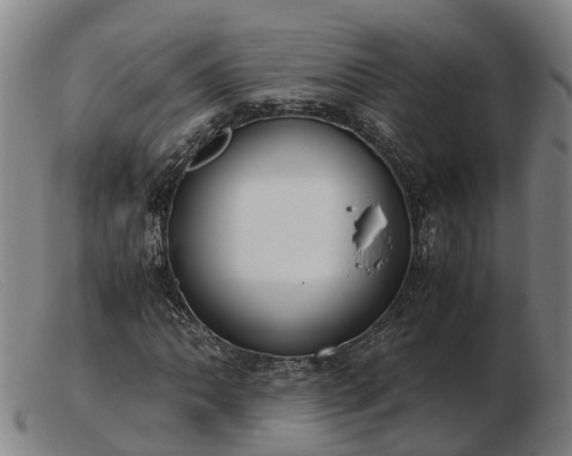 X0000103481062200809191854