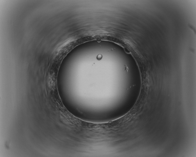 X0000103481063200809191854