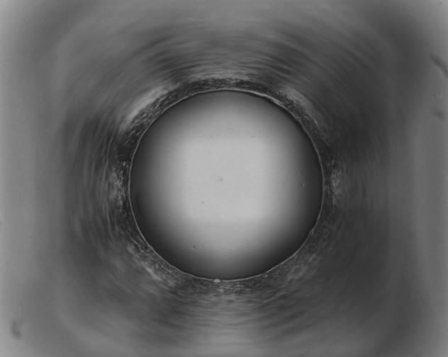 X0000103481064200809191854